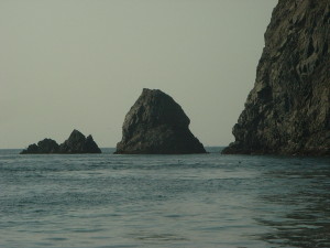 中泊　ノコギリ・コケ