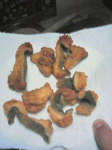 ウツボのから揚げ
