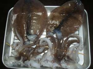 アオリイカの酒漬け一夜干し