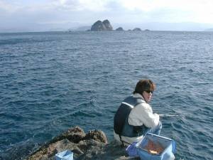 がんばるＭ先生