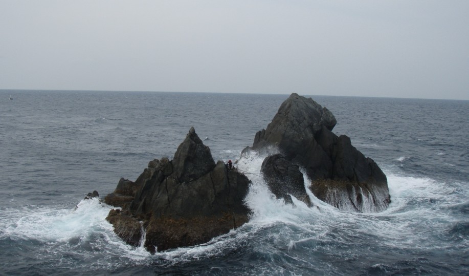 中泊　ノコギリ