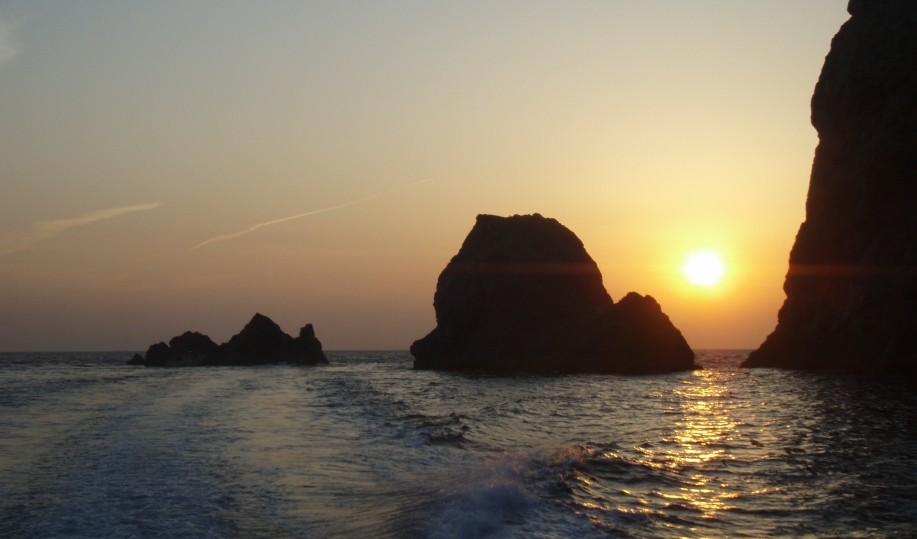 中泊　ノコギリとコケ