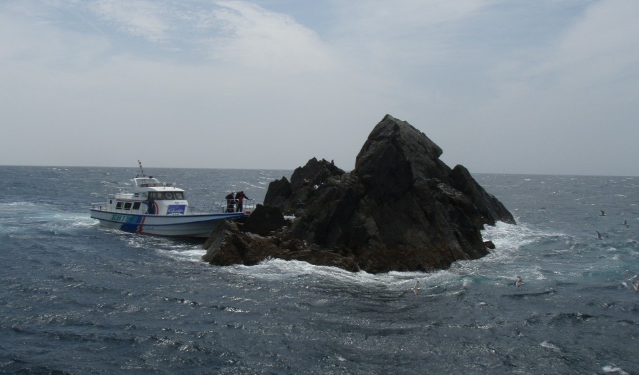 中泊　ノコギリ