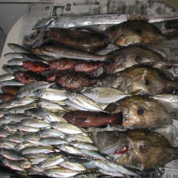 日振島　能登港の桟橋