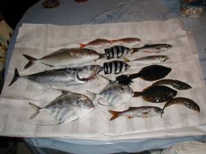 茨城　鹿島公共埠頭