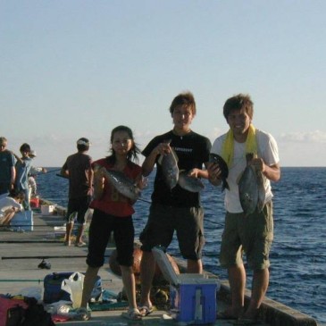 八丈島　八重根堤防